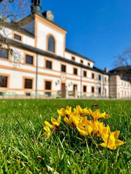 Hospitál Kuks nabídne v roce 2025 několik zpestření